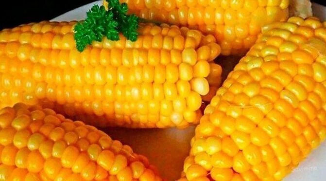 Как правильно сварить кукурузу, чтобы она была мягкая и сочная?