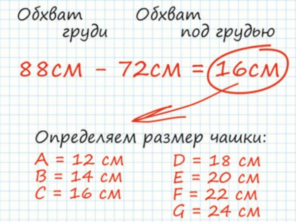 Бюстгальтер размеры по буквам и цифрам. Таблица, как определить размер, объем груди, подобрать чашечки для 1, 2, 3, 4, 5 женского бюста