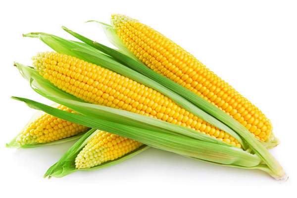спелая кукуруза