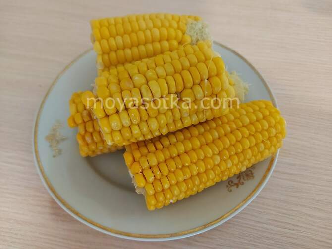 Фото кусков кукурузы
