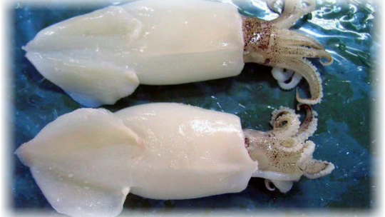 Как очистить кальмары от пленки быстро замороженные, как варить, вкусно приготовить