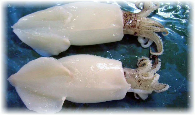 Как очистить кальмары от пленки быстро замороженные, как варить, вкусно приготовить